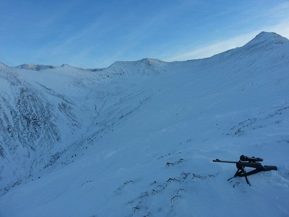 Carpathian Chamois Hunt in Romania