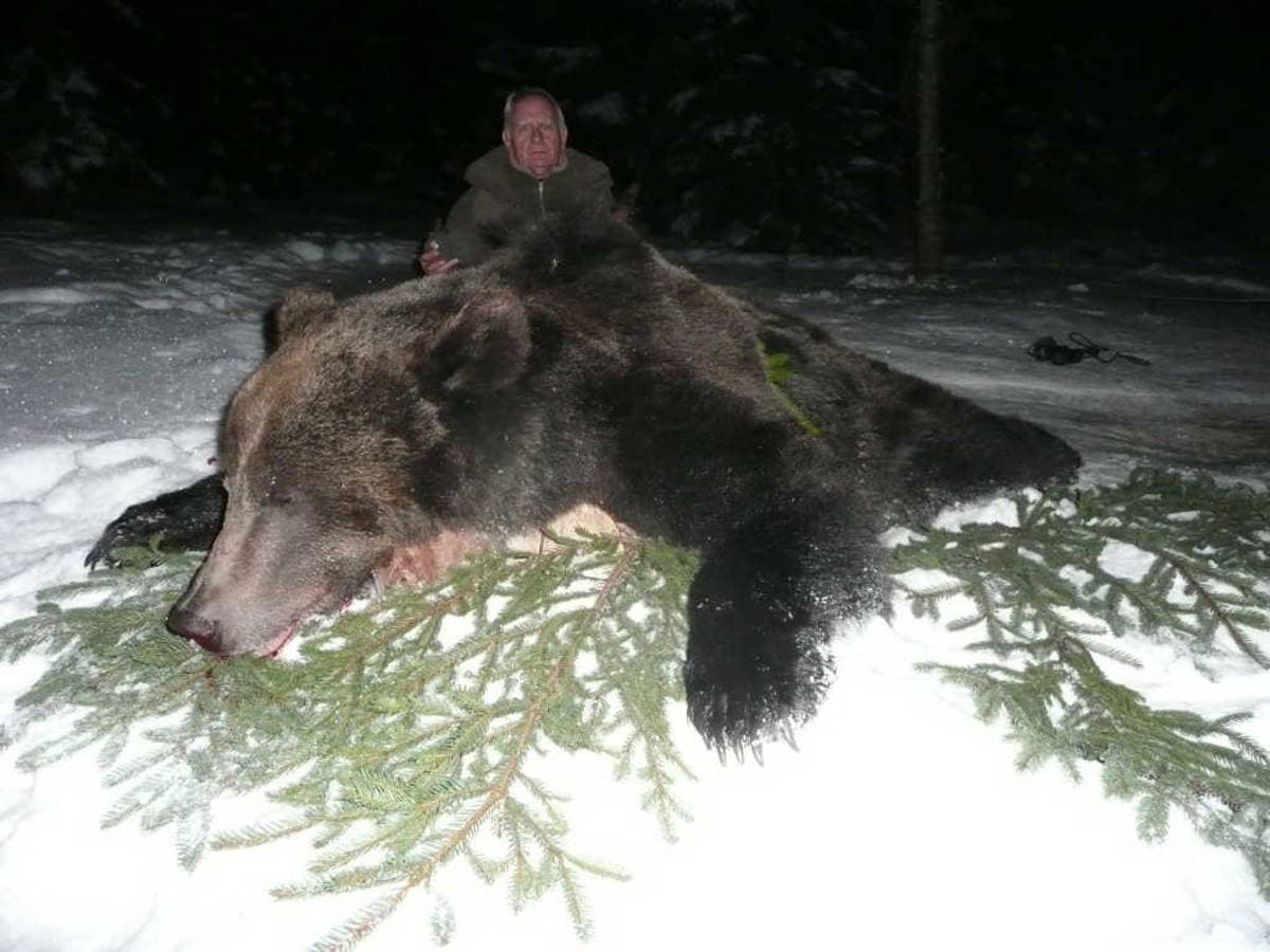 Autumn Brown Bear Expedition